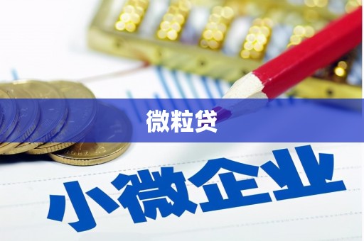 大武微粒贷