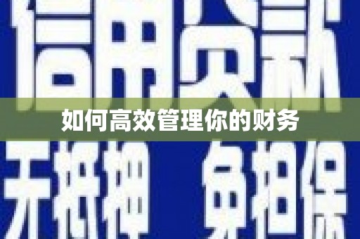 大武如何高效管理你的财务