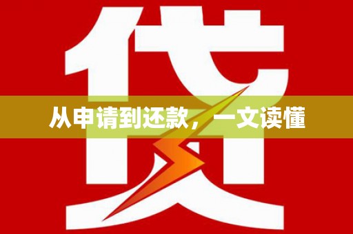 大武从申请到还款，一文读懂