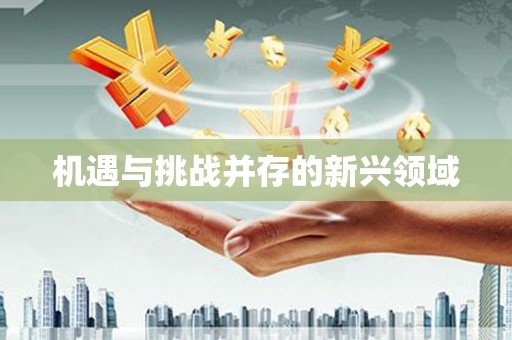 大武机遇与挑战并存的新兴领域