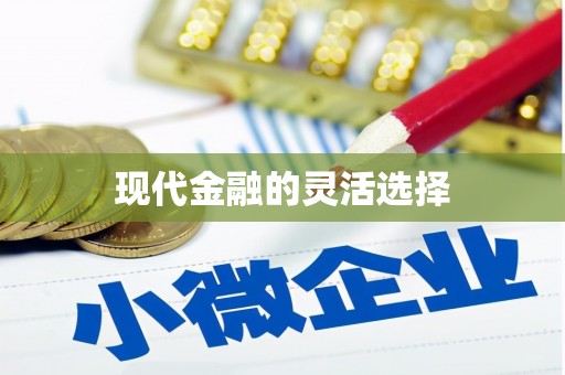 大武现代金融的灵活选择