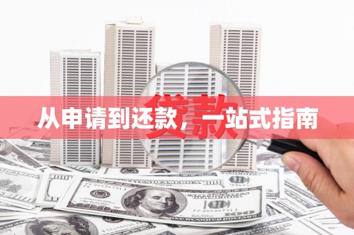 大武从申请到还款，一站式指南