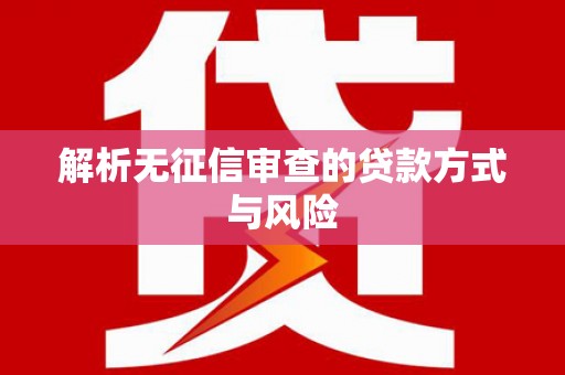 大武解析无征信审查的贷款方式与风险