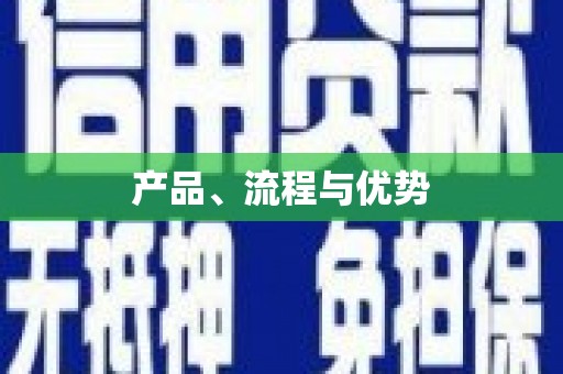 大武产品、流程与优势