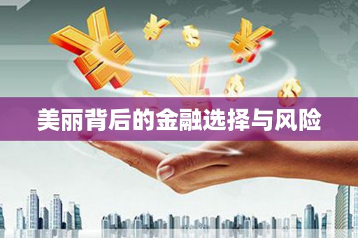 大武美丽背后的金融选择与风险