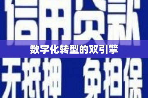 大武数字化转型的双引擎