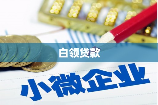 大武白领贷款