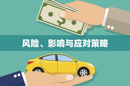 大武风险、影响与应对策略