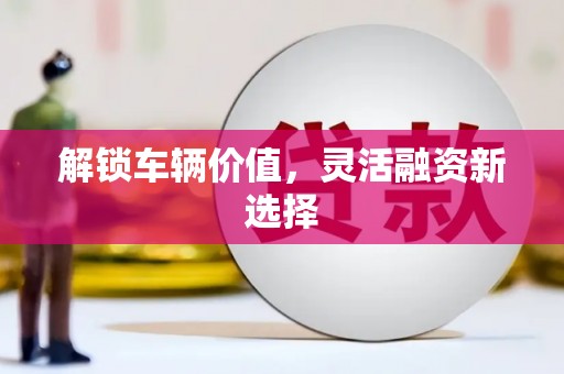 大武解锁车辆价值，灵活融资新选择