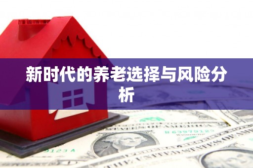 大武新时代的养老选择与风险分析