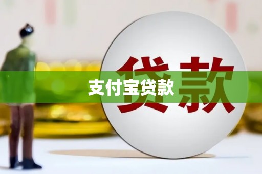 大武支付宝贷款