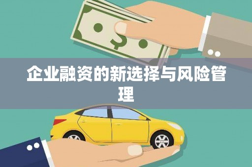大武企业融资的新选择与风险管理