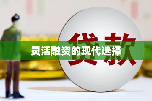 大武灵活融资的现代选择