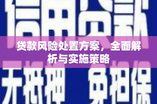 大武贷款风险处置方案，全面解析与实施策略