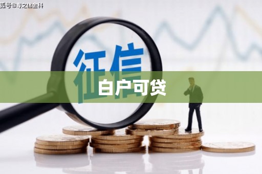 大武白户可贷