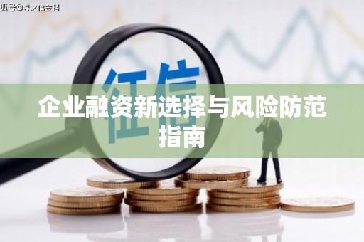 大武企业融资新选择与风险防范指南