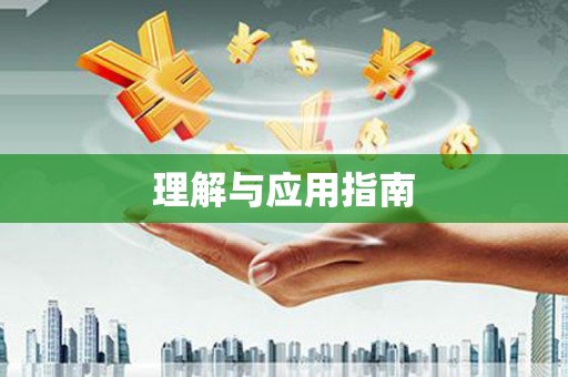 大武理解与应用指南