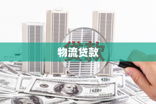 大武物流贷款