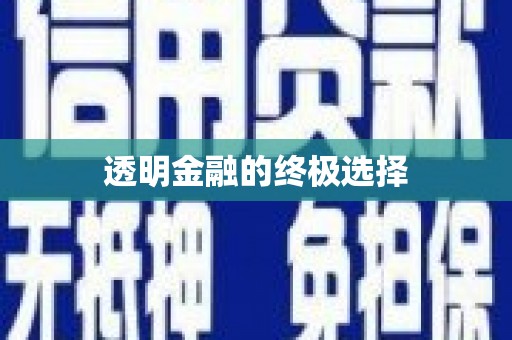 大武透明金融的终极选择