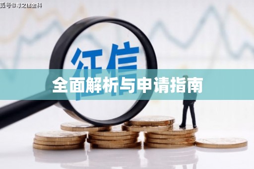 大武全面解析与申请指南