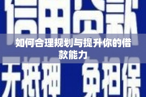 大武如何合理规划与提升你的借款能力