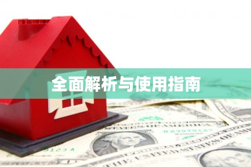 大武全面解析与使用指南