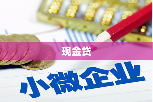 大武现金贷