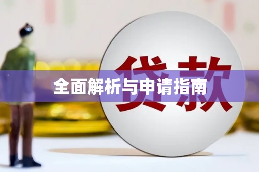 大武全面解析与申请指南