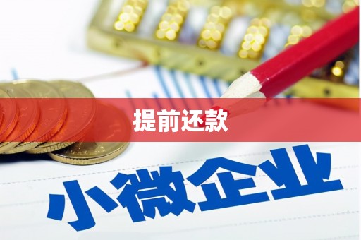 大武提前还款