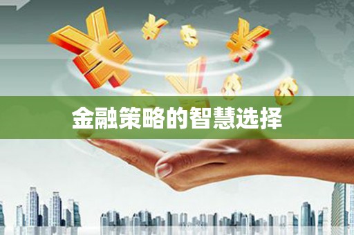 大武金融策略的智慧选择