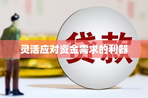 大武灵活应对资金需求的利器