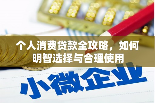大武个人消费贷款全攻略，如何明智选择与合理使用