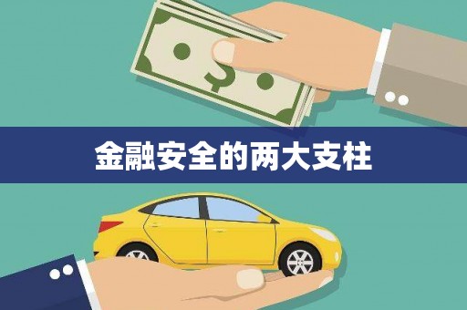 大武金融安全的两大支柱
