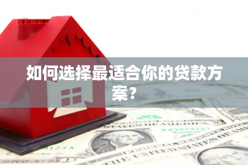 大武如何选择最适合你的贷款方案？