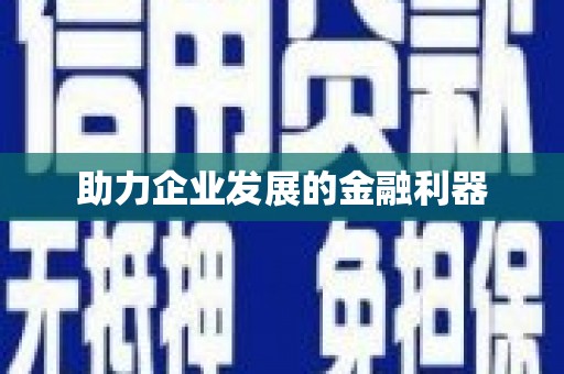大武助力企业发展的金融利器