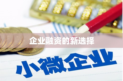 大武企业融资的新选择