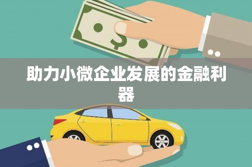 大武助力小微企业发展的金融利器