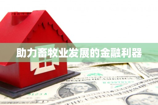 大武助力畜牧业发展的金融利器