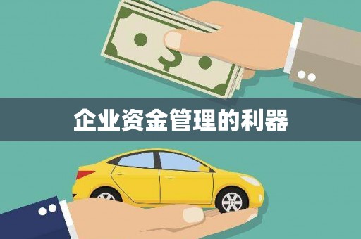 大武企业资金管理的利器