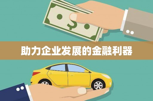 大武助力企业发展的金融利器