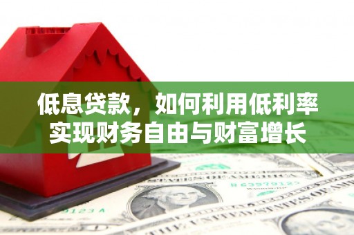 大武低息贷款，如何利用低利率实现财务自由与财富增长