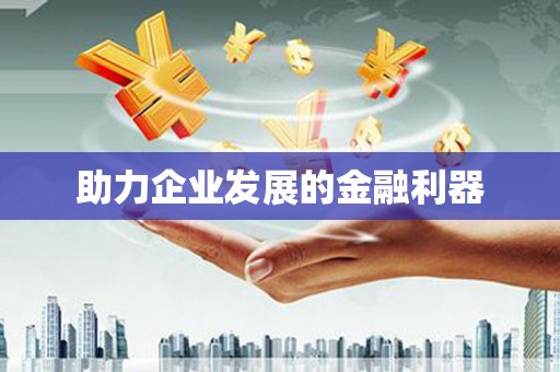 大武助力企业发展的金融利器