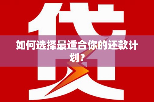 大武如何选择最适合你的还款计划？
