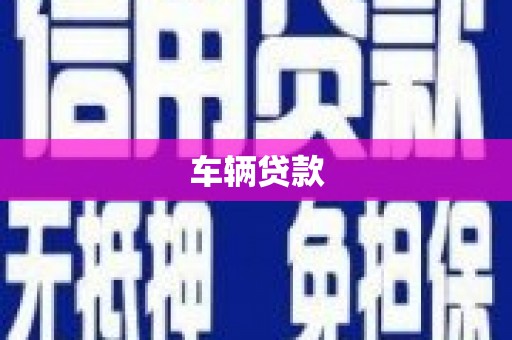 大武车辆贷款