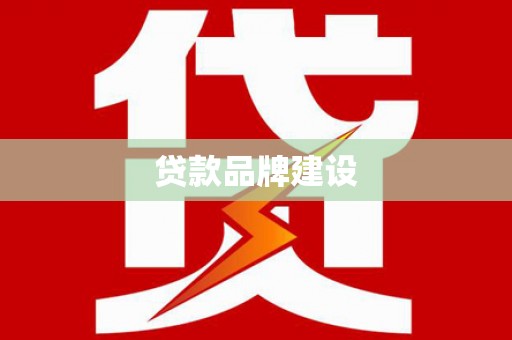 大武贷款品牌建设