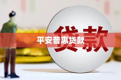 大武平安普惠贷款