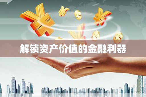 大武解锁资产价值的金融利器