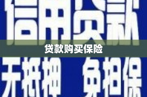 大武贷款购买保险