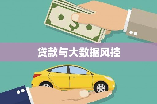 大武贷款与大数据风控