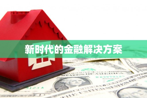 大武新时代的金融解决方案